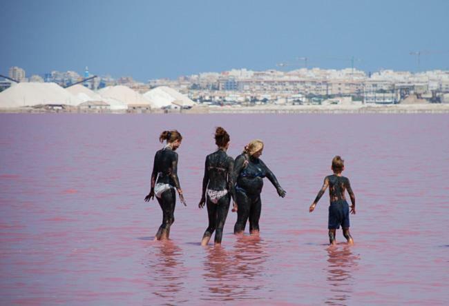 Torrevieja Apartment المظهر الخارجي الصورة