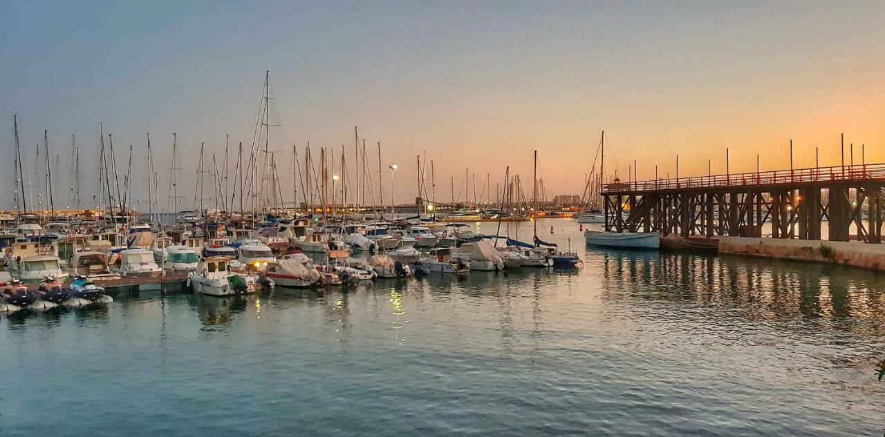 Torrevieja Apartment المظهر الخارجي الصورة
